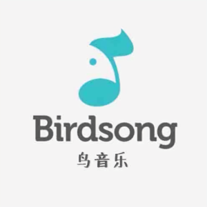 Birdsong鸟音乐头像