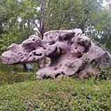 红尘归客头像
