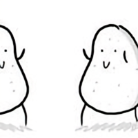 MrFeng175638698头像