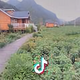 执子之手头像