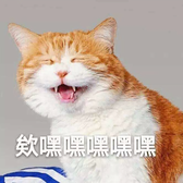 用户108601924958头像
