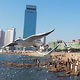 黄河后浪y头像