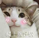 冷萌丶头像