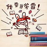 从小数学科代表头像