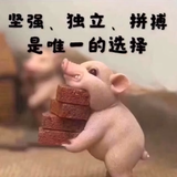拼搏50086头像