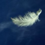 樂意昂头像