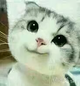 哥教你鼻毛梳中纷头像