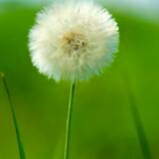 最初梦想601头像