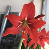 南0475头像