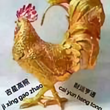zhu186387862头像
