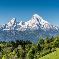 五指山79452953头像