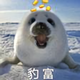 豹富头像