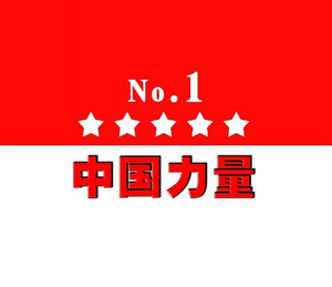 中国力量No1头像