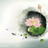 风趣柳叶i5头像