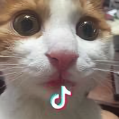 用户6118760699911头像