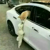森头像