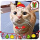 猴子猫 · 蔚来ET5T车主·车龄1年头像