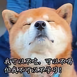 大房子和小颖子头像