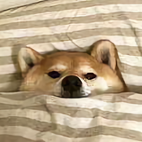 1487297318头像
