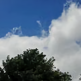 涛声阵阵头像