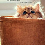 午夜无眠71421158头像