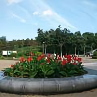 瞭望40587503头像