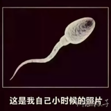 张杰小弟头像