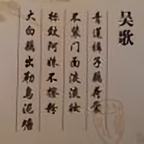 明月清风47917321头像