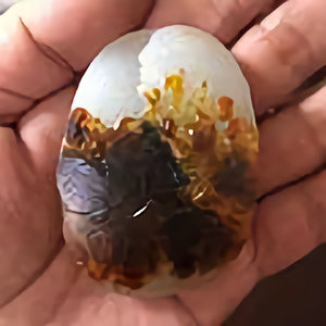 新疆和田小马淘玉头像