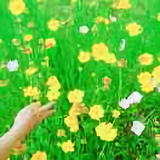 一切随缘10035头像