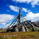 爱旅行的小野猫头像