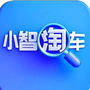 小智淘车头像