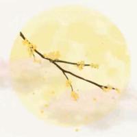 兜🈶菜头像