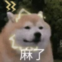 明日邊緣9527头像