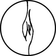 檐崖铃海的个人资料头像