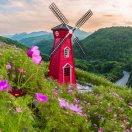 NIKI尼的个人资料头像