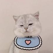 其实我是一个rapper的个人资料头像