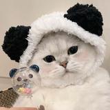 高唯扬头像