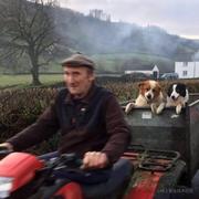 大杜蓝的个人资料头像