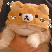 SilverBullet140的个人资料头像