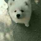 KilitoG的个人资料头像