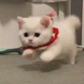 美业则超头像