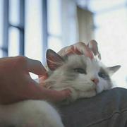 小小小菜鸡前端的个人资料头像