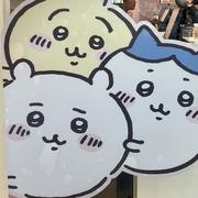 02y的个人资料头像