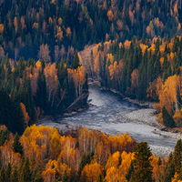 岑溪汽车研究与价值分析头像