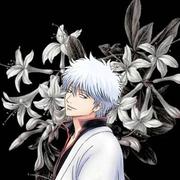 anyeguang的个人资料头像