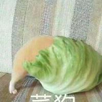 噜啦啦噜啦啦快乐头像