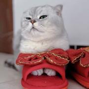 语霁的个人资料头像