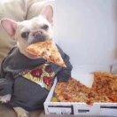 Kyle君106660的个人资料头像