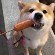 ZKluv的个人资料头像